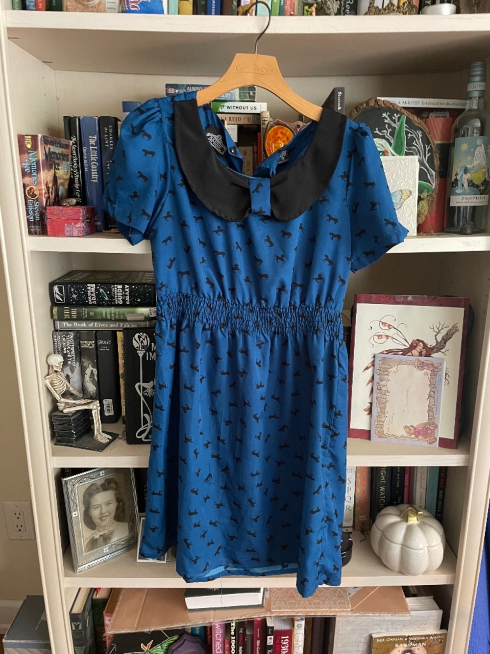 Blue Peter Pan Collar Dress with Horse Print